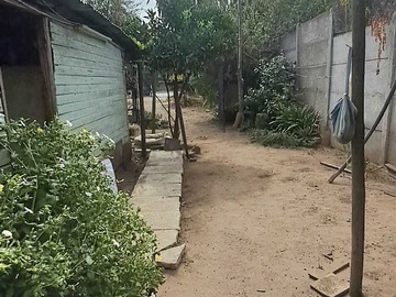 Imagen 12