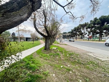 Imagen 37