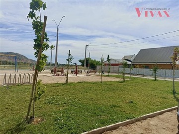 Imagen 16