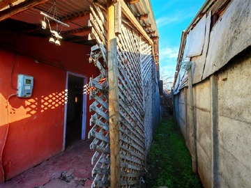Imagen 11