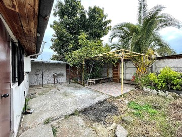 Imagen 20