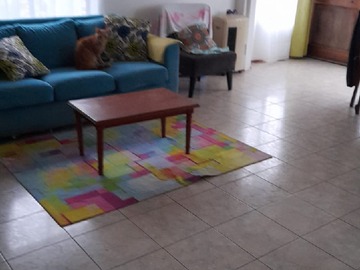 Imagen 7