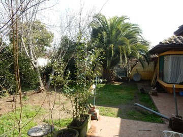 Imagen 18
