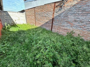 Imagen 12