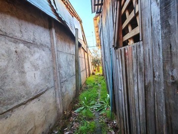 Imagen 4
