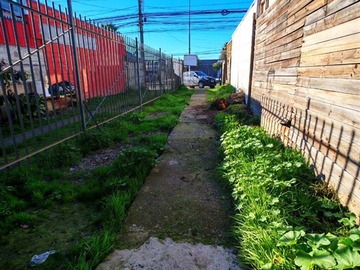 Imagen 6