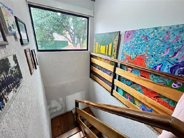 Imagen 20