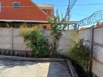 Imagen 7