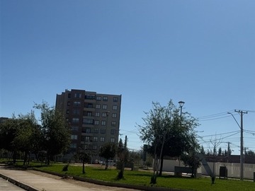 Imagen 23