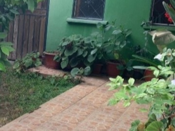 Imagen 15