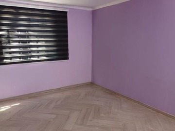 Imagen 6
