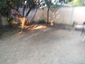 Imagen 7