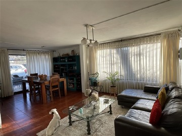 Imagen 8