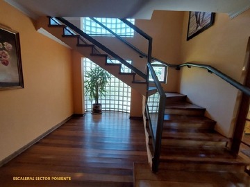 Imagen 7