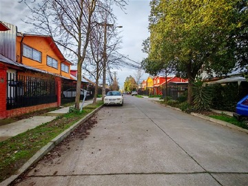 Imagen 15