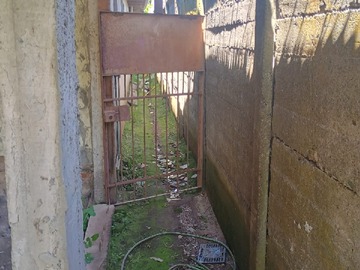 Imagen 5