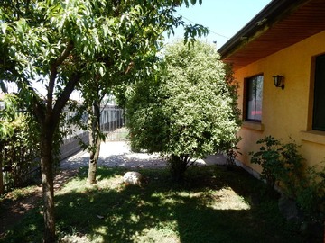 Imagen 21