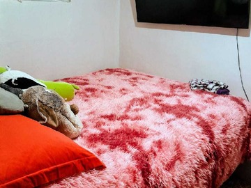 Imagen 9