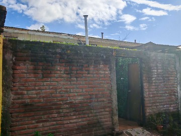 Imagen 20