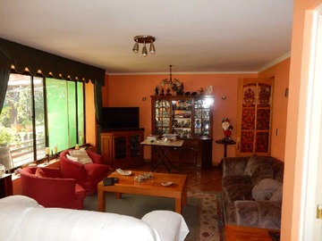 Imagen 5