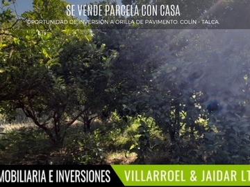 Imagen 7