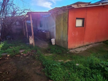 Imagen 16