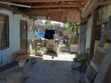 Imagen 12