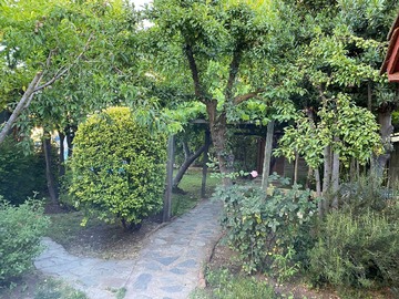 Imagen 20