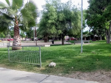 Imagen 22