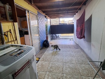 Imagen 7