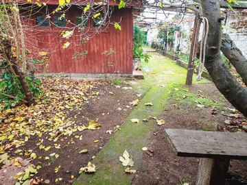 Imagen 21