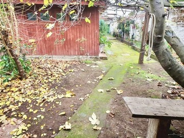 Imagen 8