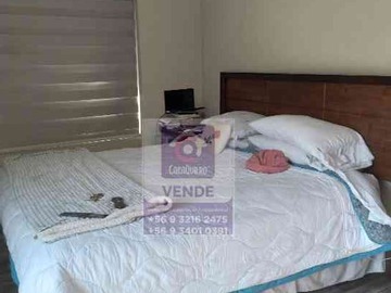 Imagen 15