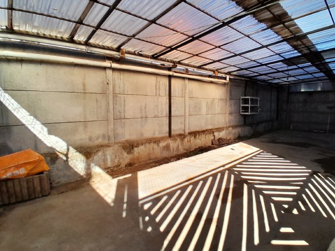 PATIO TRASERO