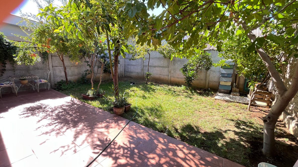 Patio trasero