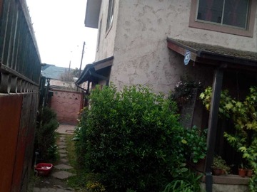 Imagen 21