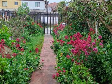 Venta / Casa / Talcahuano