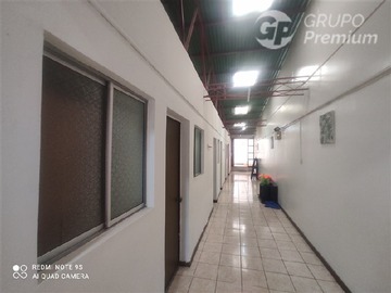 Imagen 5