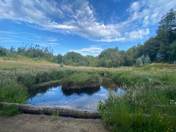 Venta / Casa / Temuco