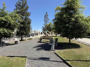 Imagen 25