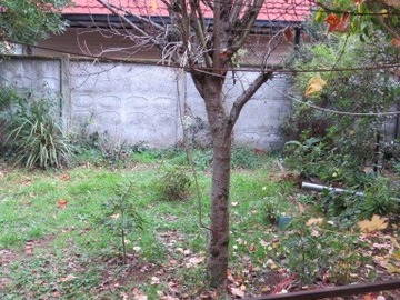 Imagen 20