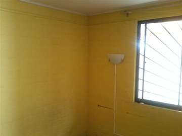 Imagen 5