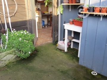 Imagen 23