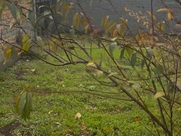 Venta / Casa / Temuco