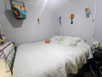 Imagen 11
