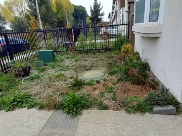 Imagen 4