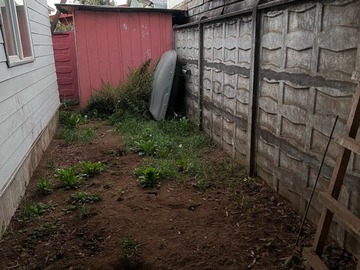 Imagen 17