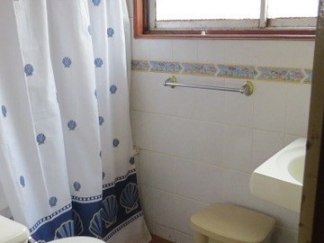 Imagen 11