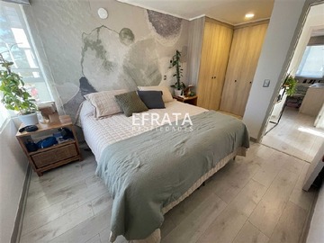 Imagen 12