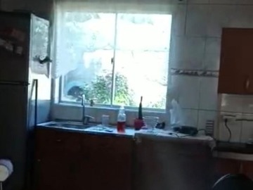 Imagen 12
